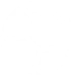 Fotboll